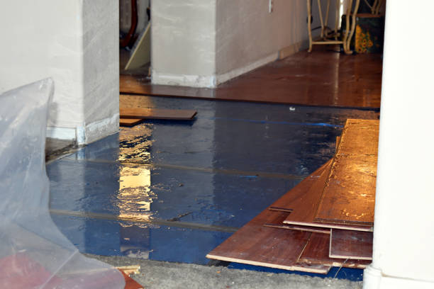 Professional Flood Cleanup technician working in Columbia, IA